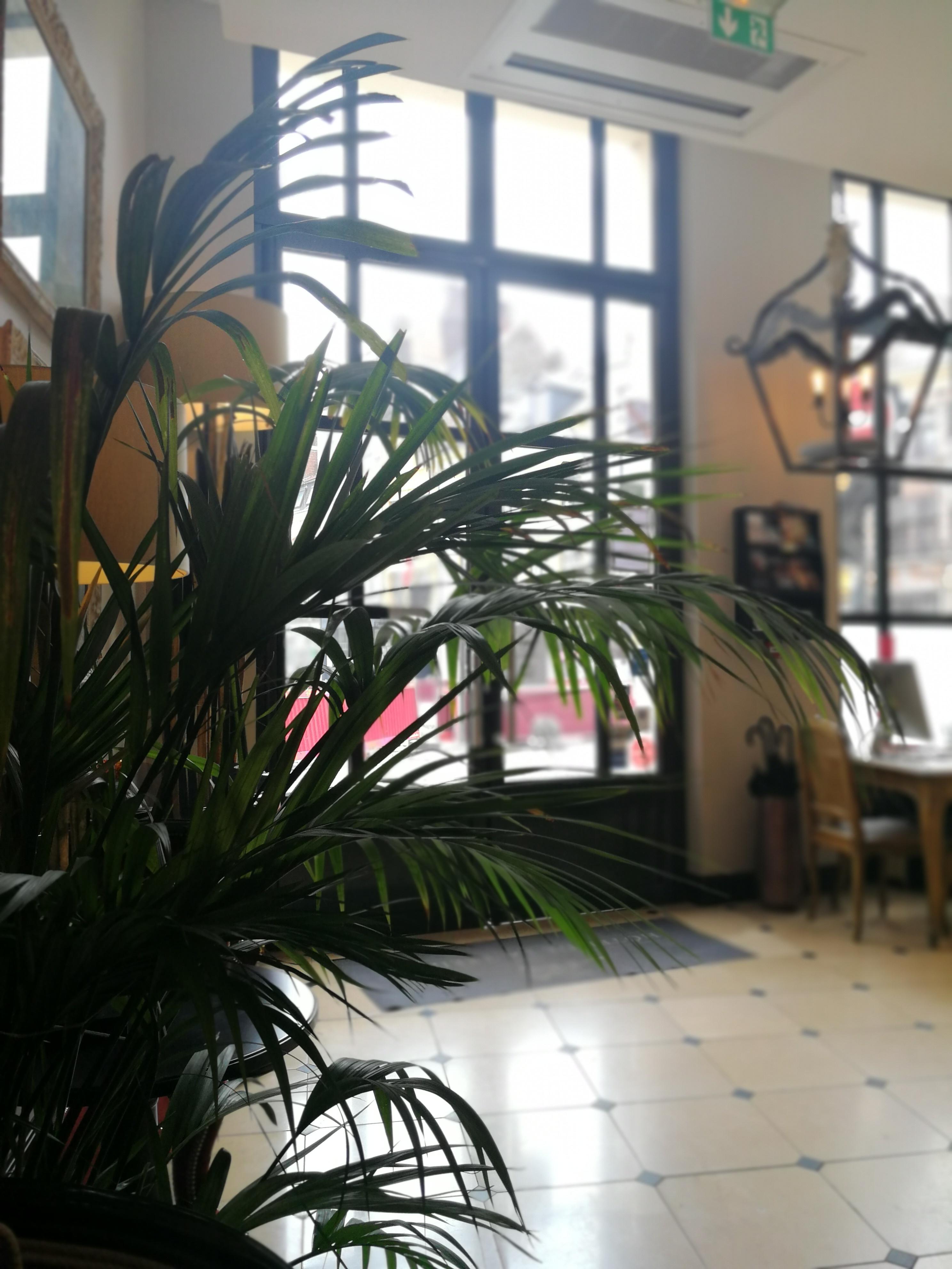 Hotel De La Treille Lille Ngoại thất bức ảnh